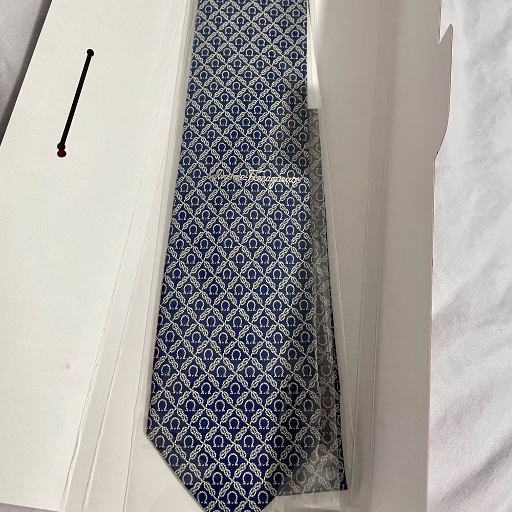 NWT Salvatore Ferragamo Lenzie Tie